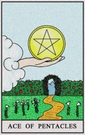 card-5