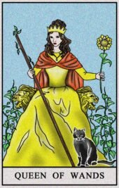 card-20