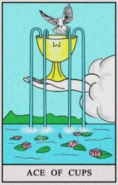 card-13