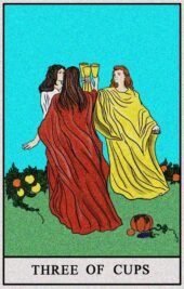 card-14